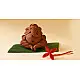 Amod ❦ Eco friendly Ganeshji {D}